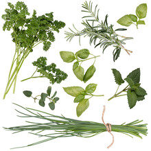 Collection Of Fresh Herbs