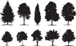 © Михаил Н - Set Trees. Hand drawn vector illustration