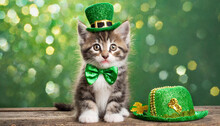 St. Patrick's Day. Cute Kitten With Green Hat And Green Bow Tie