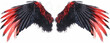 Vivid red and black wings stand out against a pristine white backdrop, creating a striking and captivating image of contrast and beauty