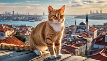 A Ginger Cat Walks On The Roofs A Cat Sits On A Roof In Istanbul Against The Backdrop Of Ancient Buildings And The Bosphorus Istanbul Turkiye October 16 2023