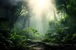 © Kainat - misty forest in the morning