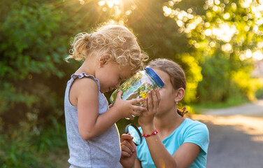 Wall Mural - A child looks into a jar with a magnifying glass. Selective focus.