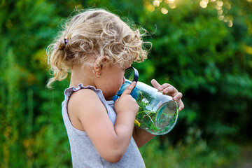 Sticker - A child looks into a jar with a magnifying glass. Selective focus.