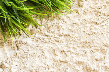 Beach sand background with some green leaves out of focus in the upper left corner.