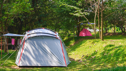Wall Mural - two field tents on green lawn with sunlight and shade in camping area at natural parkland