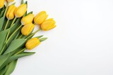 Fototapeta Tulipany - Beautiful Yellow Tulip Bouquet on White Background. Perfect Spring Blossom with Green Leaves