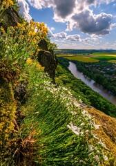 Poster - Perfect spring scene blooming flowers above the river and beautiful colorful spring fields. Location place river Hron, Slovakia, Europe. Environmental concept. Discover the beauty of earth.