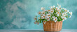 A bunch of white flowers in a wicker basket on an empty table against a blue plaster wall background.