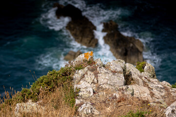 Sticker - Scenic view of a rocky cliff by the ocean.