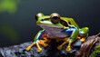 Cute colorful little frog in nature