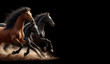 running horses on black background
