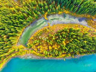 Wall Mural - a drone view of the river in the forest. an aerial view of forest from drope. winding river among th