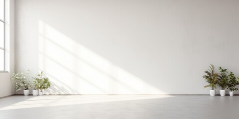 Canvas Print - Empty white studio room with natural lighting and shadows, ideal for creative design.