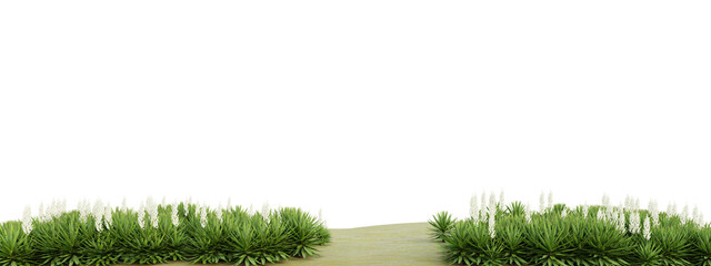 Wall Mural - Cutout of green plant isolated on transparent background, png landscape design, 3d render illustration.