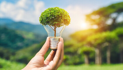  hand holding young plant with sunlight on green nature background. concept eco earth day