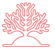 © Riki - coral sea line icon set