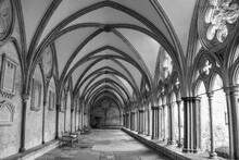 Cloisters At Salisbury Cathedral Wiltshire England In Black And White