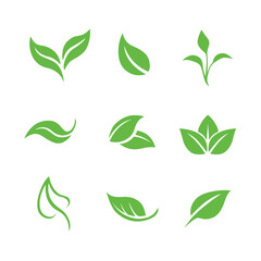 Wall Mural - vector collection of freen leaves icon - natural, healthy, eco, organic or bio symbol on white backg