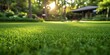 Newly mowed lawn in a residential yard, Generative AI