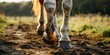 Horse leg issues, including hoof diseases, Generative AI