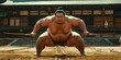 Sumo concept with heavyweight sumo wrestler