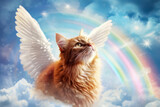Fototapeta Kwiaty - Cat with angel wings and rainbow in heaven 