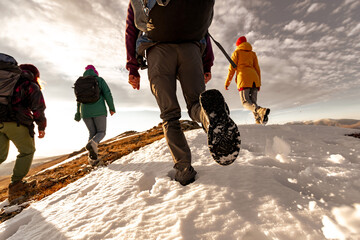 Wall Mural - Group of sporty young tourists with backpacks walks at mountain top. Close up photo of hikers legs and silhouettes