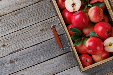 Wall Mural - Wooden box with fresh red apples
