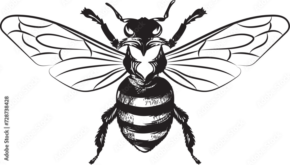 Vector engraving illustration of honey bee on white background Honey ...