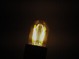 Fototapeta Mapy - LED filament light bulb