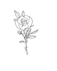 Wall Mural - line art drawing of flowers. minimalism sketch, idea for invitation, design of instagram stories and highlights icons