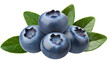 Pile of fresh blueberries - isolated