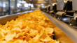 Potato chips production on conveyor belt