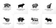 Stylish flat minimalistic logo design collection: modern graphic elements with abstract swine (jamon) shapes in black and white for agriculture and pig farm products in vector set