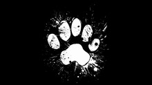 Simple White Futuristic Logo Of A Kitten Paw Print With A Subtle Paint Splatter Effect On Black Background. 2d Illustration