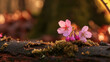  a close up of a pink flower on a mossy surface with a blurry background of trees and lights in the backround of the picture is a blurry background.