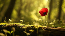  A Single Red Flower Sitting On Top Of A Moss Covered Log In The Middle Of A Forest Filled With Lots Of Green Grass And Small White And Yellow Flowers In The Foreground.
