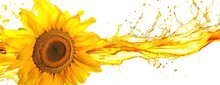 Sunflower With Water Splashing