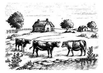 Wall Mural - Farm landscape with cows. Vintage woodcut engraving style vector illustration.