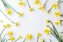 Spring Greeting Card Invitation Or Banner With A Beautiful Minimalistic Layout Yellow Daffodils And Space For Text On A White Background Simple Fla