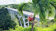 The Bacunayagua Bridge Is A Landmark Of The Island Of Freedom, Connecting Two Parts Of The Via Blanca Highway. View From The Bacunayagua Observation Deck On The Main Havana-Varadero Road. Cuba