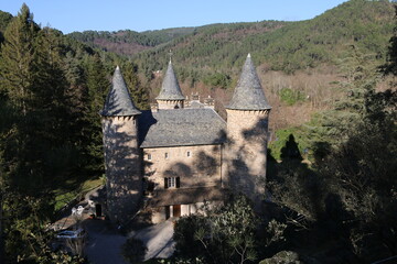 Wall Mural - Château de MONTJOIE (CHAMBORIGAUD)