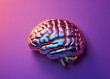 © Andrey - Metallic Purple Brain Model on Purple Background