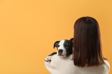 Wall Mural - Beautiful young woman with cute staffordshire terrier puppy on yellow background, back view