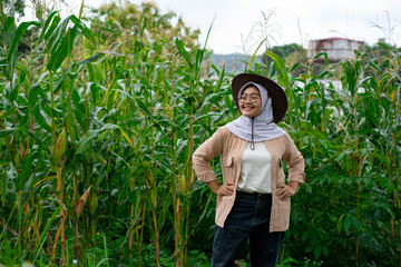 Young Asian female farmer who looks happy seeing her corn plants growing well. Young farmer woman smiling and harvesting corn. A beautiful woman on the background of the field holds the cobs of corn. 