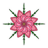 Fototapeta Motyle - pink flower isolated on white background