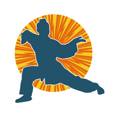 Silhouette of a slim female doing martial art pose. Silhouette of a martial art woman in action pose.