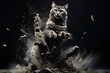 A cat rising from the ashes