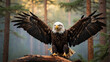 © mdaktaruzzaman - Thrill of observing a bald eagle landing amidst a stand of tall pine trees, its talons gripping a sturdy branch with precision and embodying freedom and strength in the heart of the wilderness